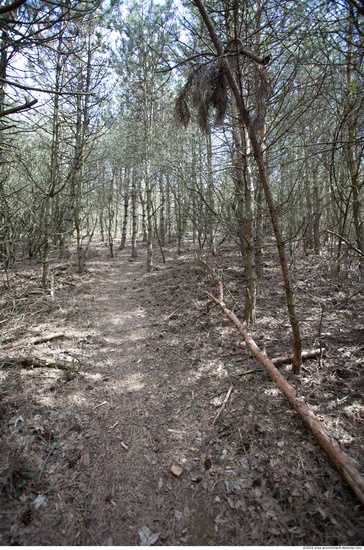 Background Forests