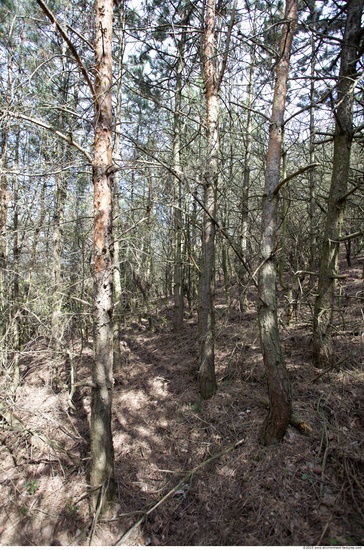 Background Forests