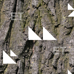 Seamless Tree Bark