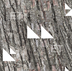 Seamless Tree Bark