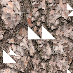 Seamless Tree Bark