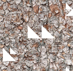 Seamless Tree Bark