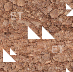 Seamless Tree Bark