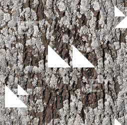 Seamless Tree Bark