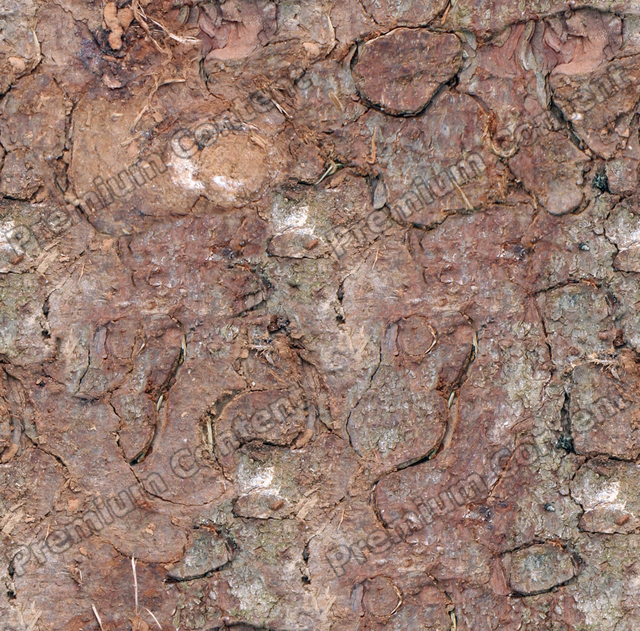 Seamless Tree Bark