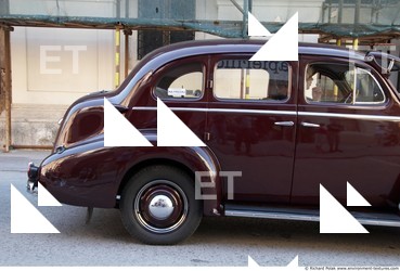 Photo Reference of Veteran