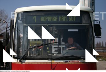 Photo References of Bus