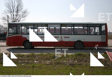 Photo References of Bus