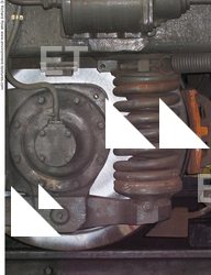 Photo Texture of Spring