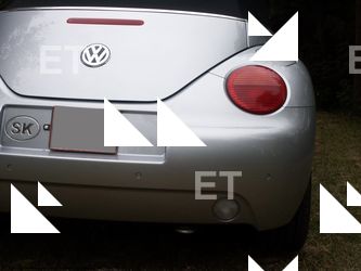 Photo Reference of Volkswagen Beetle