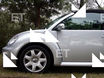 Photo Reference of Volkswagen Beetle