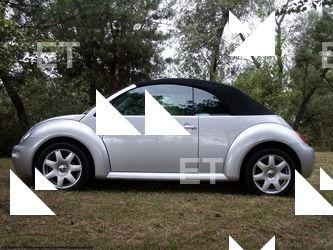 Photo Reference of Volkswagen Beetle