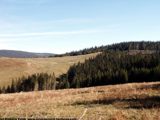 Background Forests