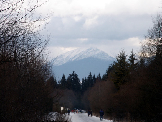 Snowy Mountains