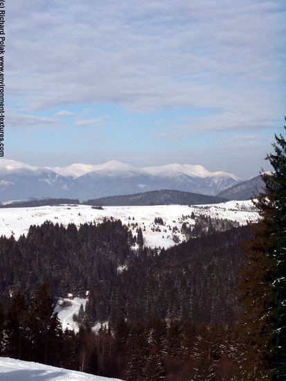 Snowy Mountains