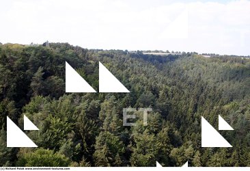 Background Forests