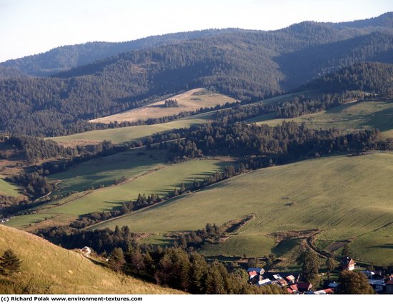 Background Forests