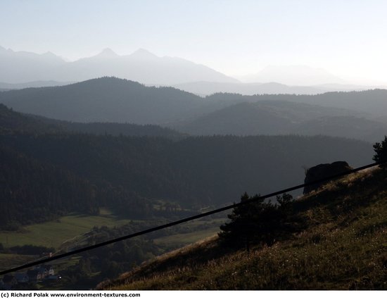 Background Forests