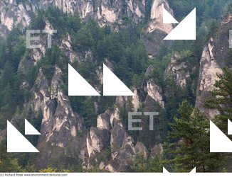 Cliffs Overgrown Rock