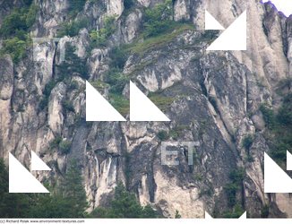 Cliffs Overgrown Rock