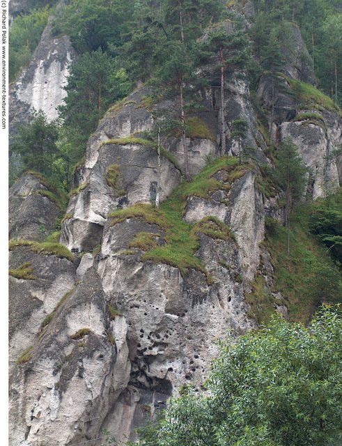 Cliffs Overgrown Rock