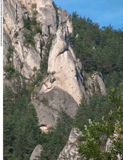 Cliffs Overgrown Rock