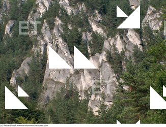 Cliffs Overgrown Rock