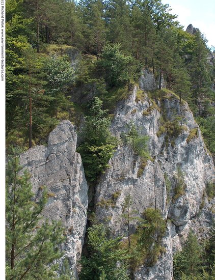 Cliffs Overgrown Rock