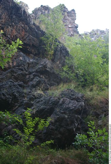 Cliffs Overgrown Rock