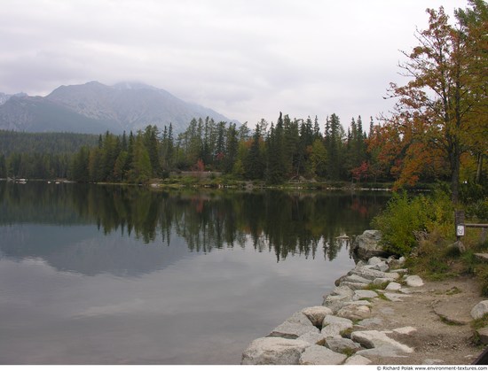 Background Forests