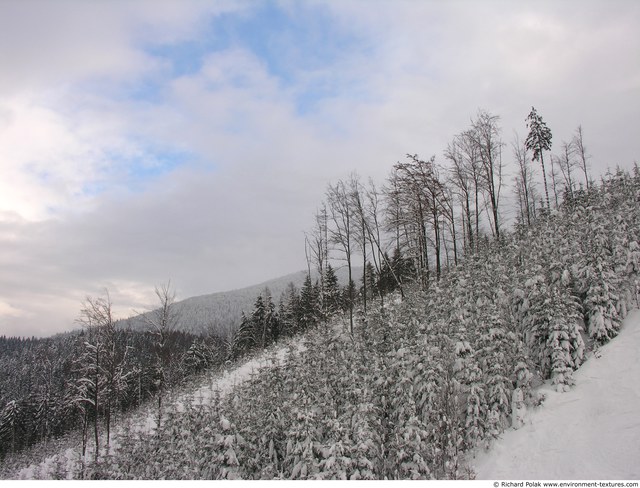 Natures Winter