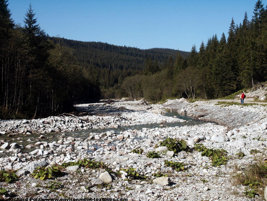 Background Forests