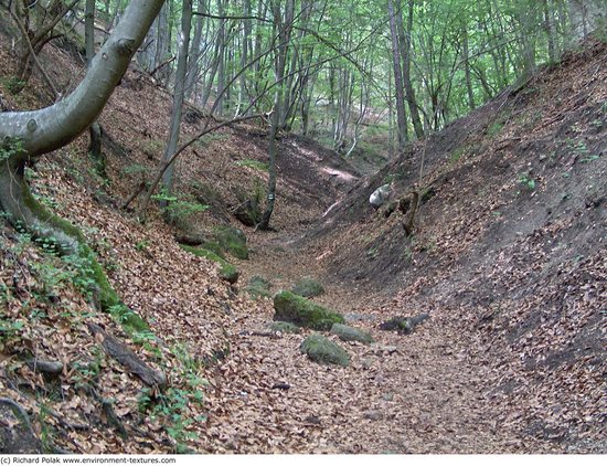 Background Forests