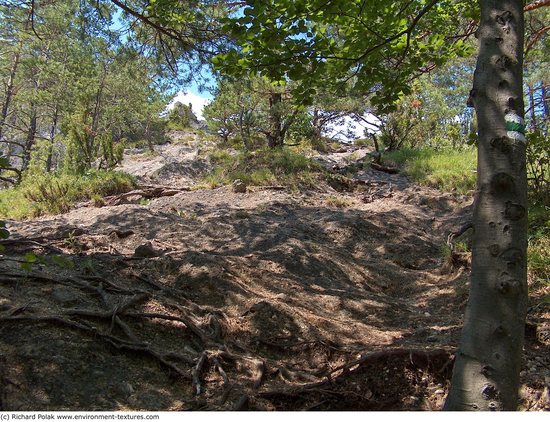 Background Forests