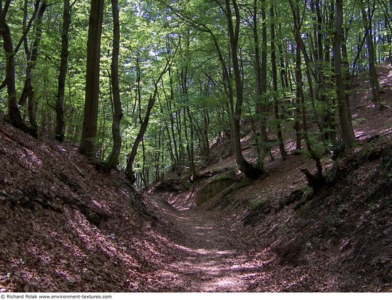 Background Forests