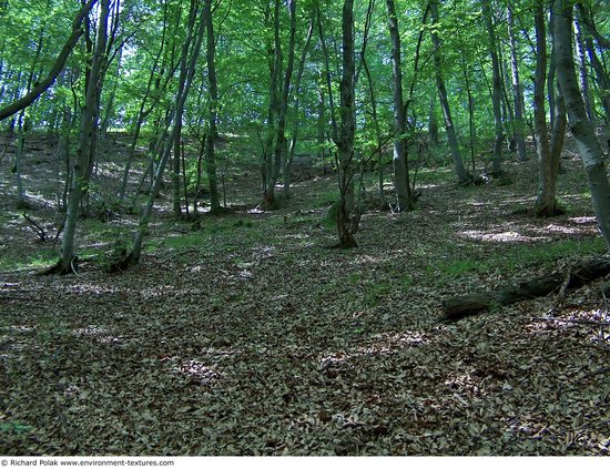 Background Forests