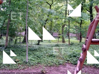 background forest park