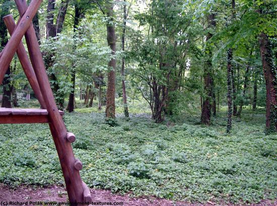 Background Forests