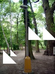 background forest park