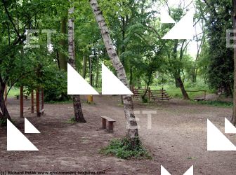 background forest park