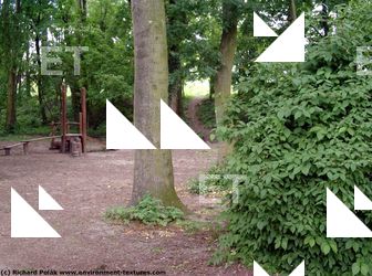 background forest park