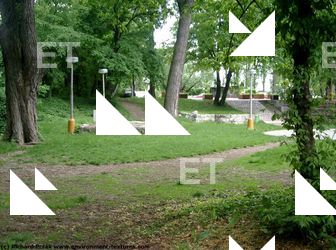 background forest park