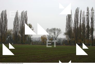 background nature autumn