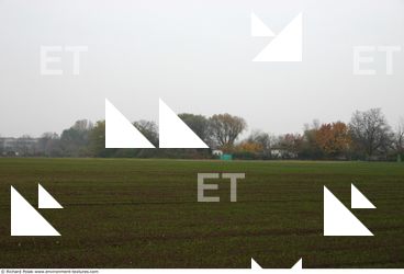 background nature autumn