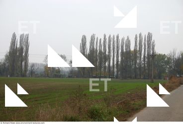 background nature autumn