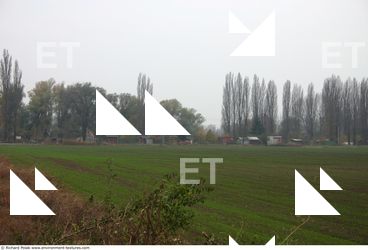 background nature autumn