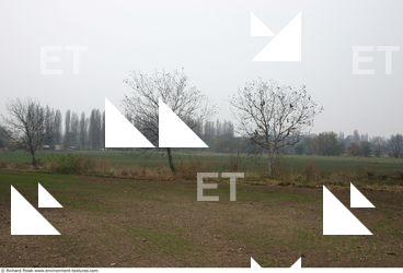 background nature autumn