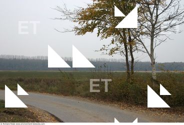 background nature autumn