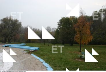 background nature autumn