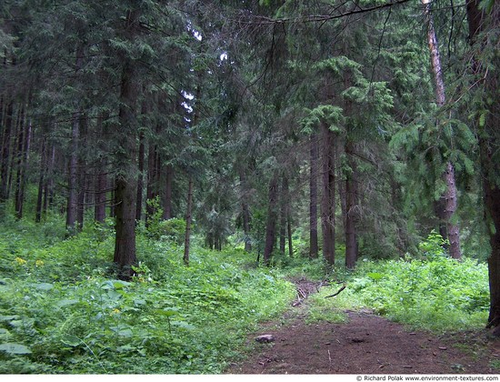 Background Forests